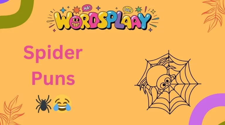 Spider Puns