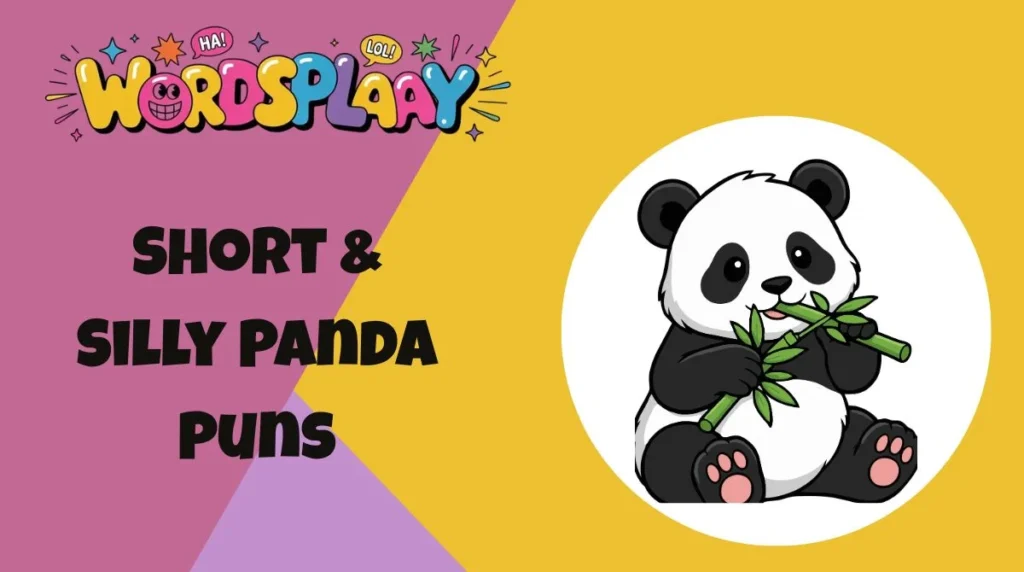 Short & Silly Panda Puns
