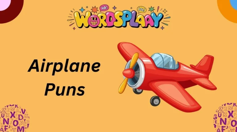 Airplane Puns