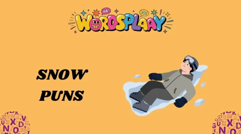 Snow Puns