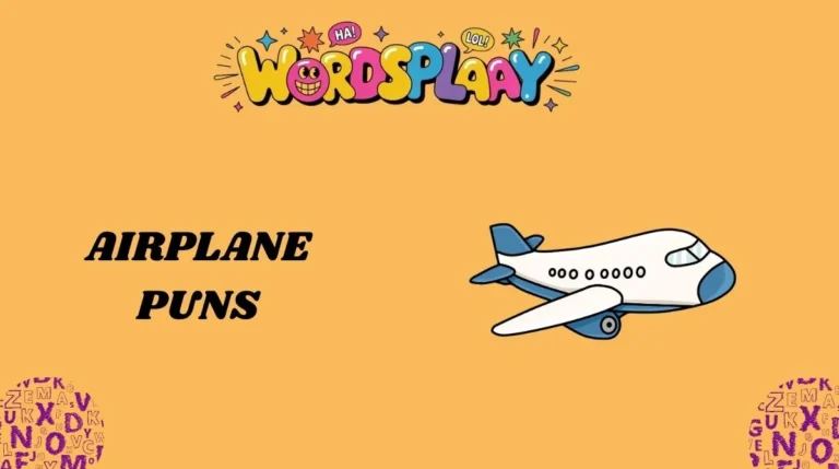 Airplane Puns