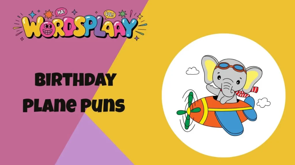 Birthday Plane Puns