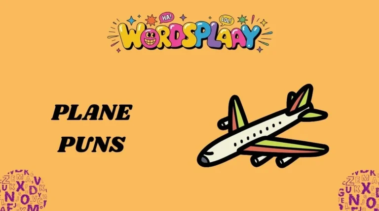 Plane Puns
