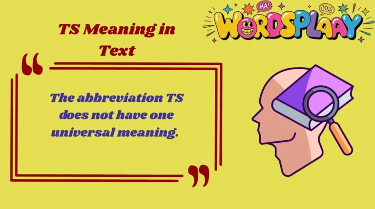 TS Meaning in Text
