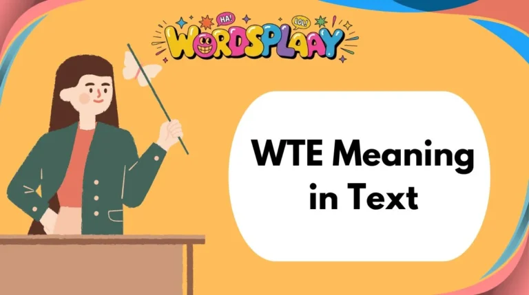 WTE Meaning in Text
